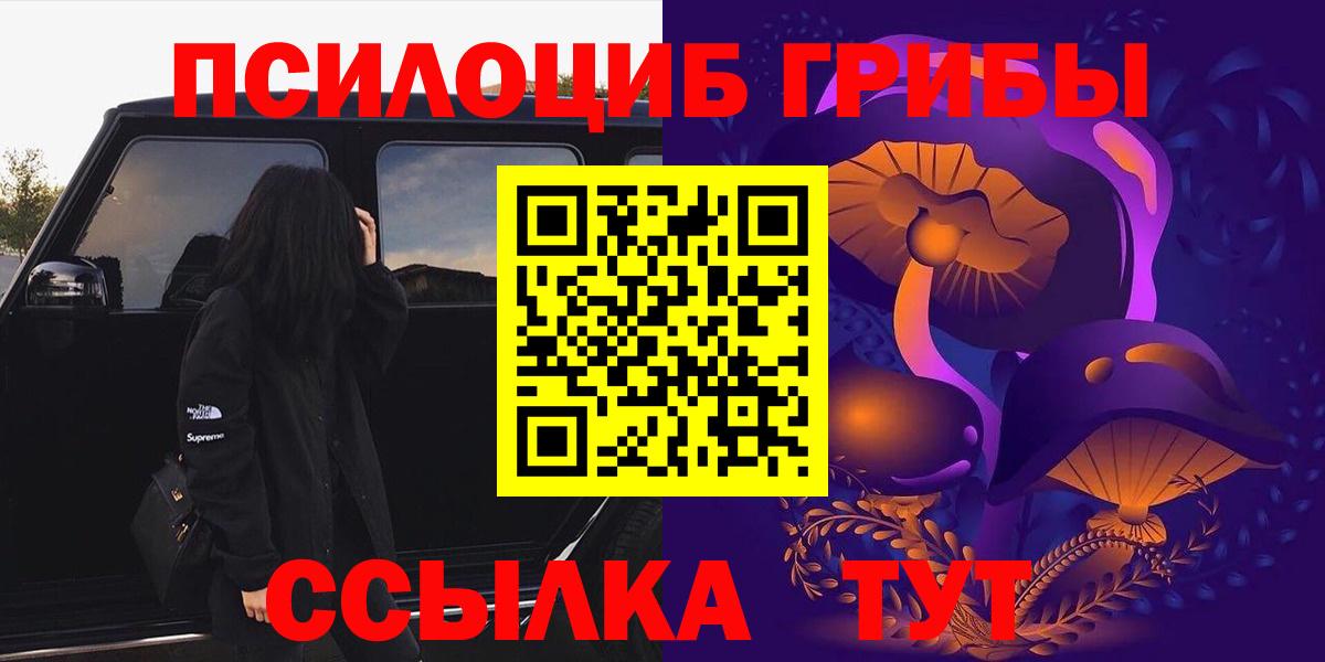 Светлоград  Псилоцибиновые грибы Psilocybine cubensis  Вход с VPN 
